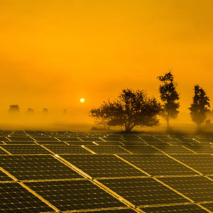 Cosmotaics – Greening deserts through solar farms