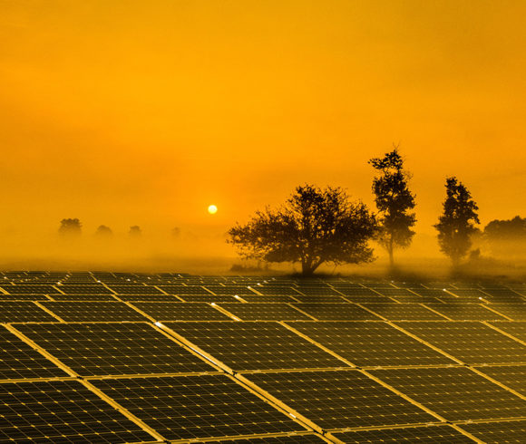 Cosmotaics – Greening deserts through solar farms