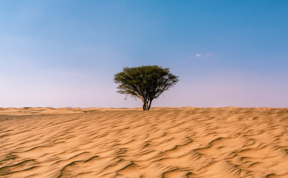 Green deserts: How solar energy can help produce water
