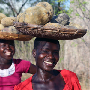 African Baobab Alliance – Der Affenbrotbaum als Motor für sozialen Wandel