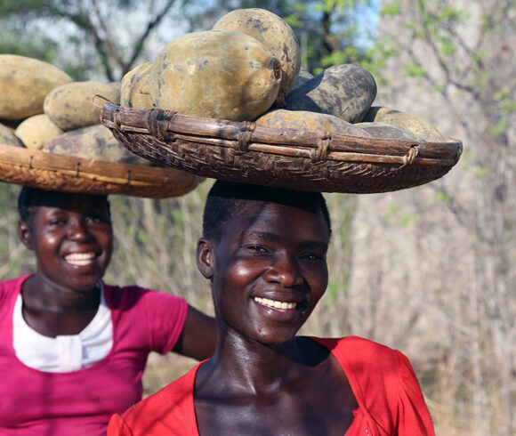 African Baobab Alliance – Der Affenbrotbaum als Motor für sozialen Wandel