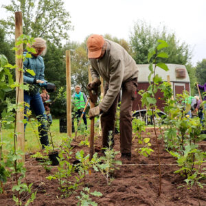 Citizens Forests – Ungenutzte Flächen einfach aufforsten